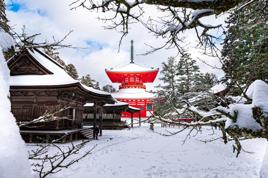 2. Japan: January, February, and June Offer the Lowest Prices of the Year (Image Credits: Unsplash)