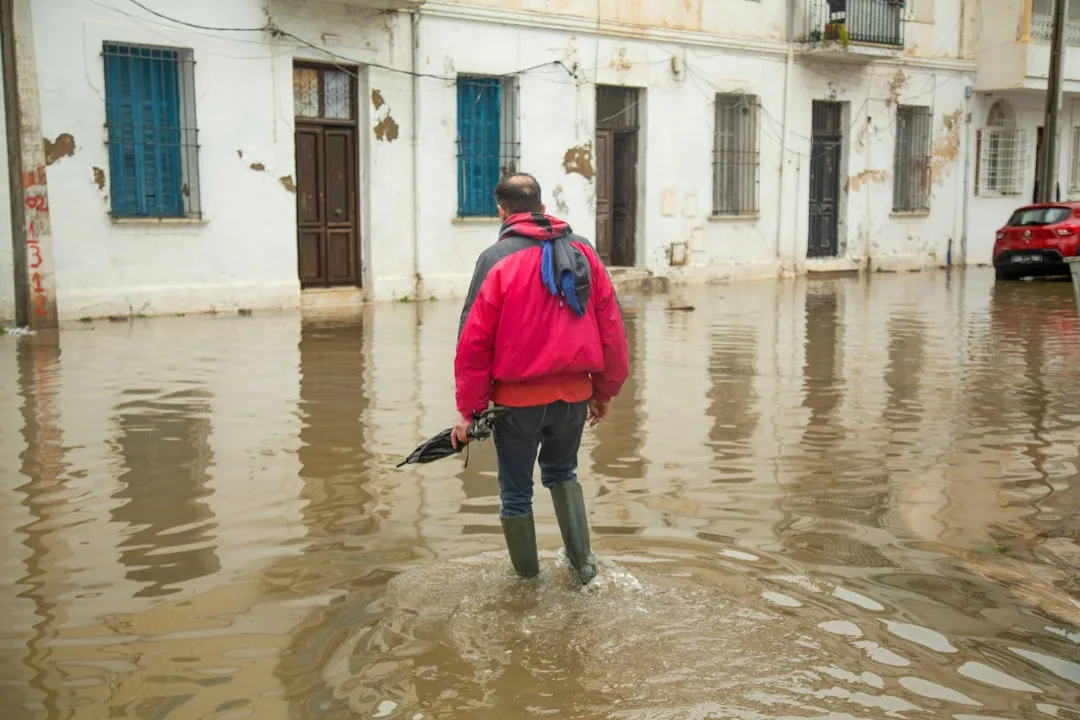 Water: The Non-Negotiable Priority (Image Credits: Unsplash)