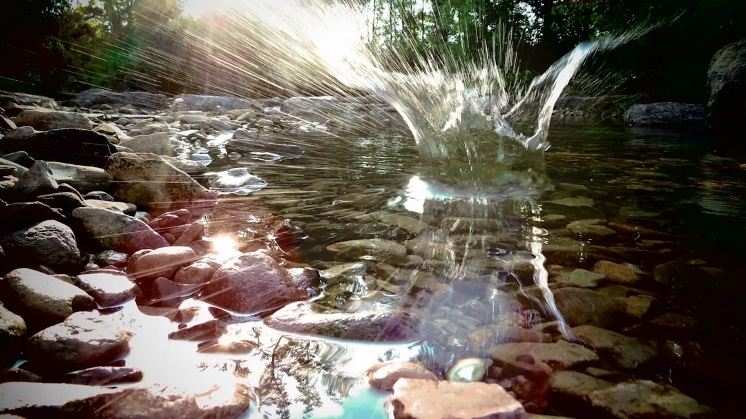 Pisces: The Quiet, Intuitive Soul Traveler (Image Credits: Unsplash)