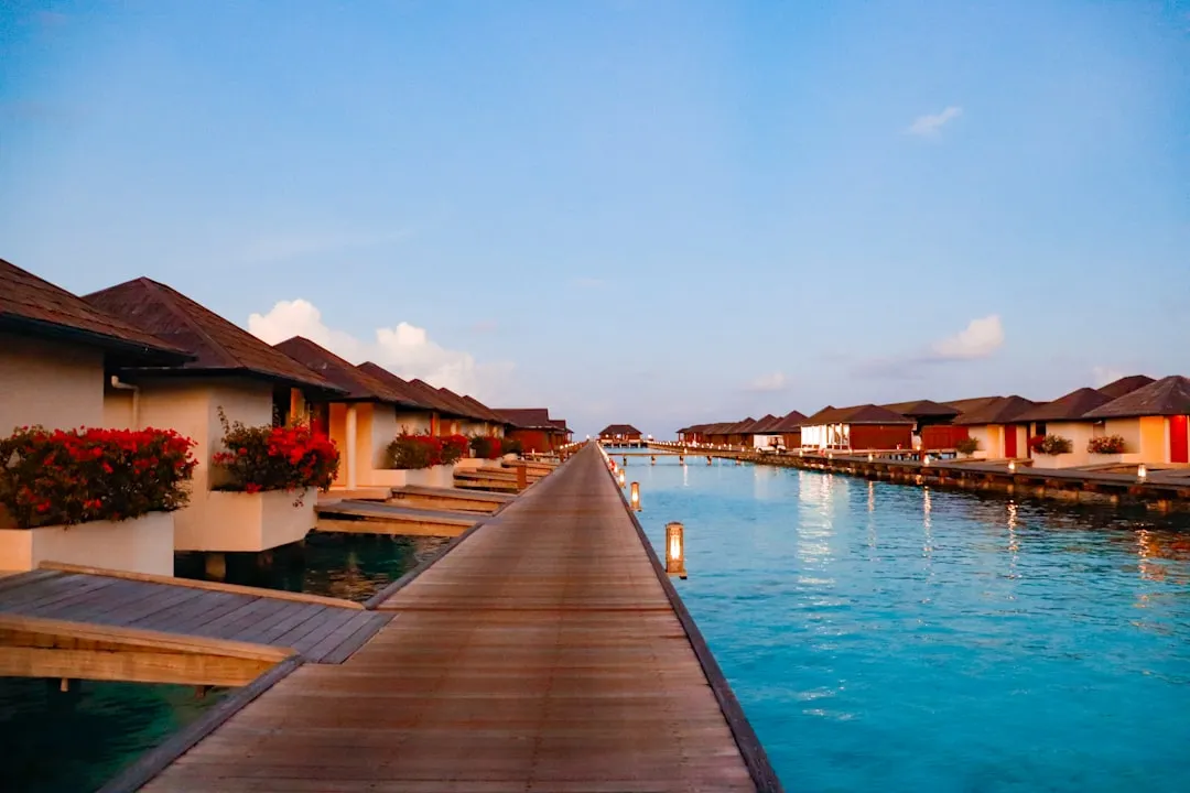 The Celebrity Factor and the Quiet Luxury Appeal (Image Credits: Unsplash)