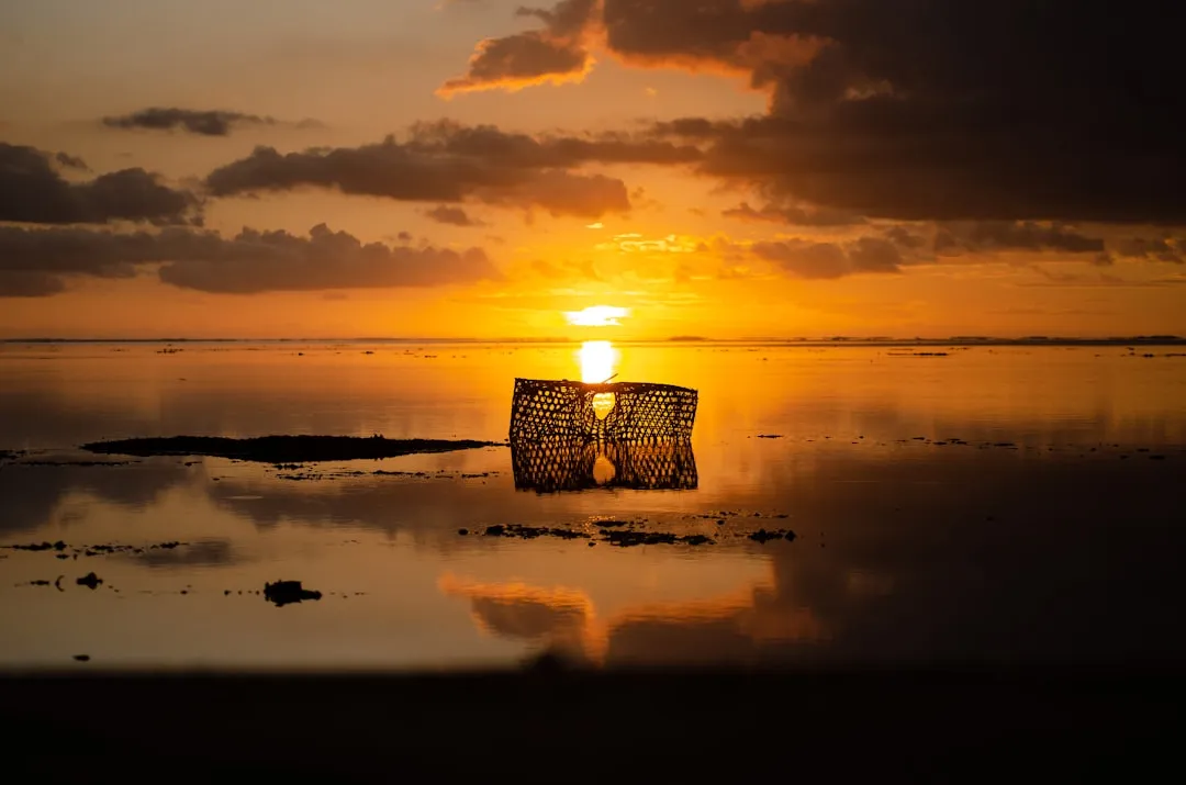 The Golden Window: Why Dawn and Dusk Rule the Reef (Image Credits: Unsplash)