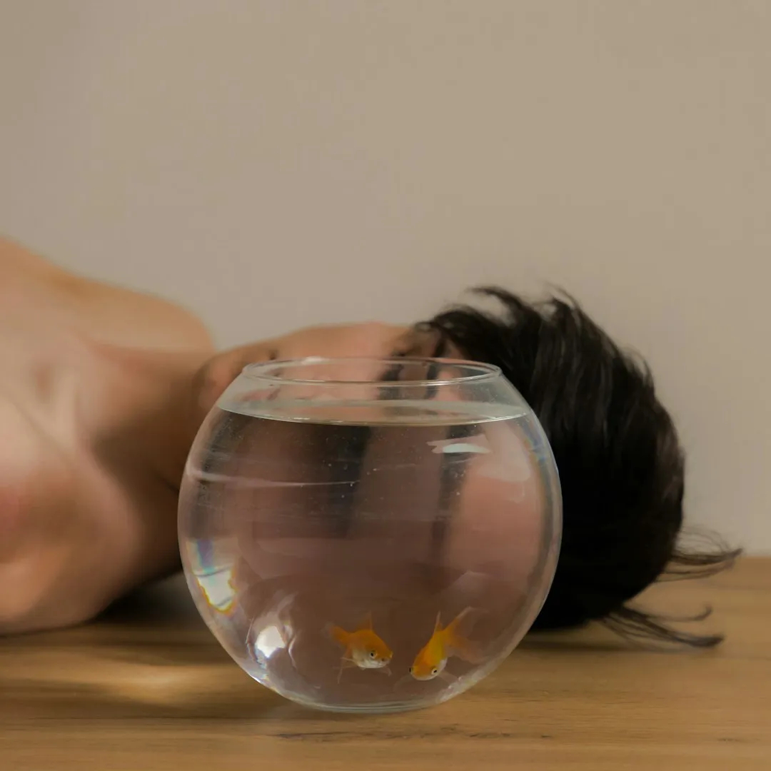 Pisces: The Undisputed Champion of Missing Their Stop (Image Credits: Unsplash)