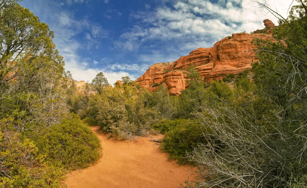 Fay Canyon: Short Trail, Outsized Reward (Image Credits: Unsplash)
