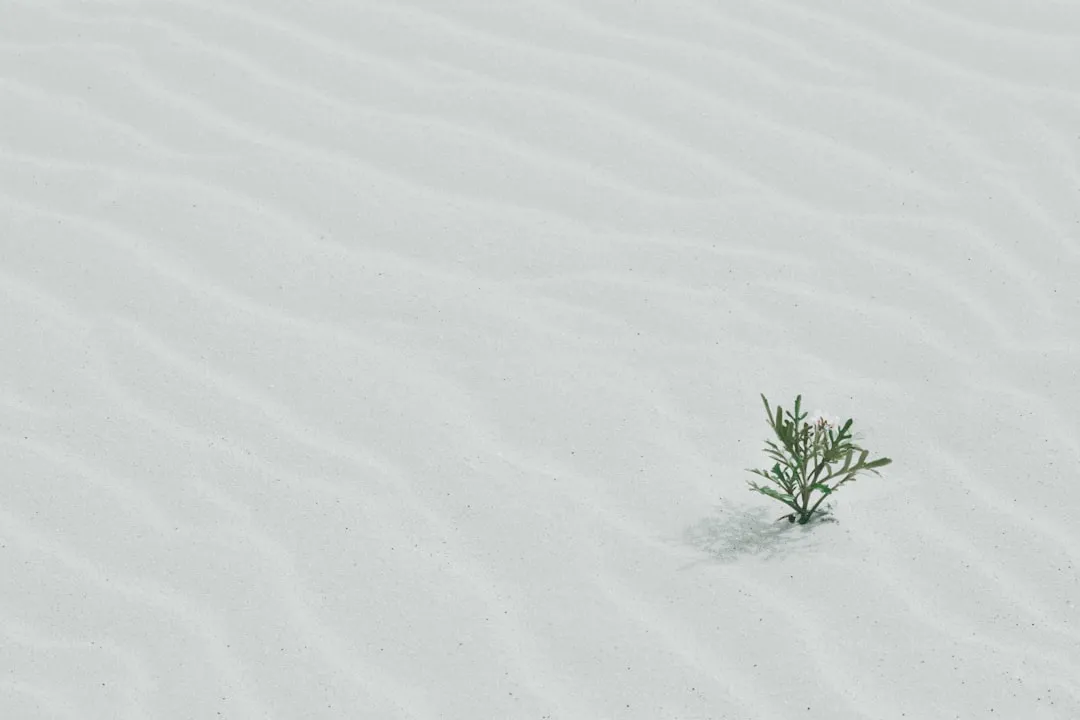 What Designers Say About Breakthrough Moments (Image Credits: Unsplash)