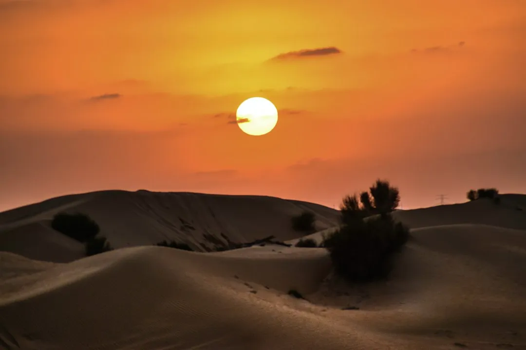 2. Sun Protection That Actually Works (Image Credits: Unsplash)