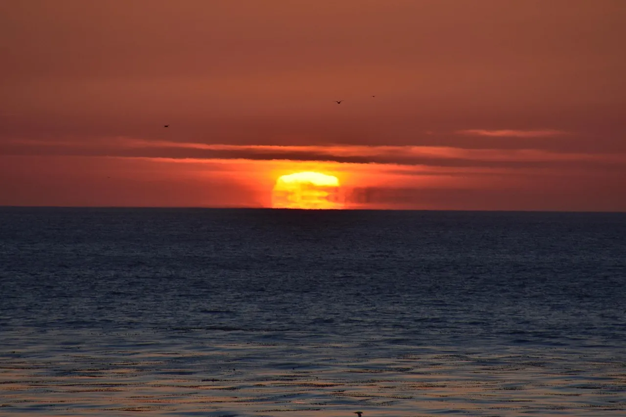 Why Californians Keep Coming Back (Image Credits: Pixabay)