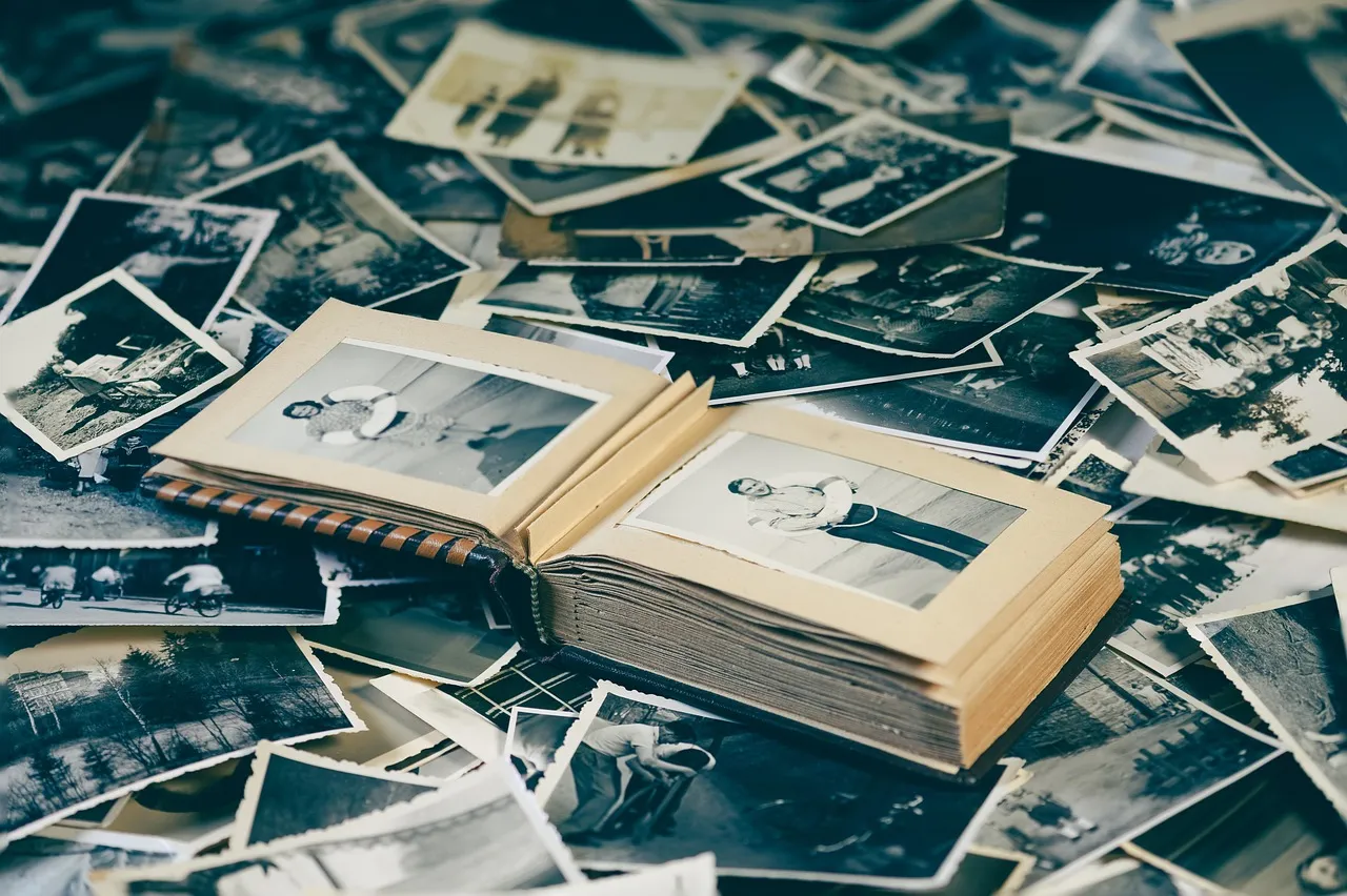 The Reviewer: Memory Built Through Revisiting (Image Credits: Pixabay)