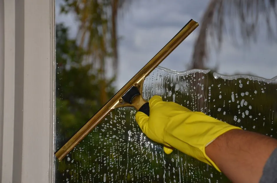 The Push Toward Greener Cleaning (Image Credits: Pexels)