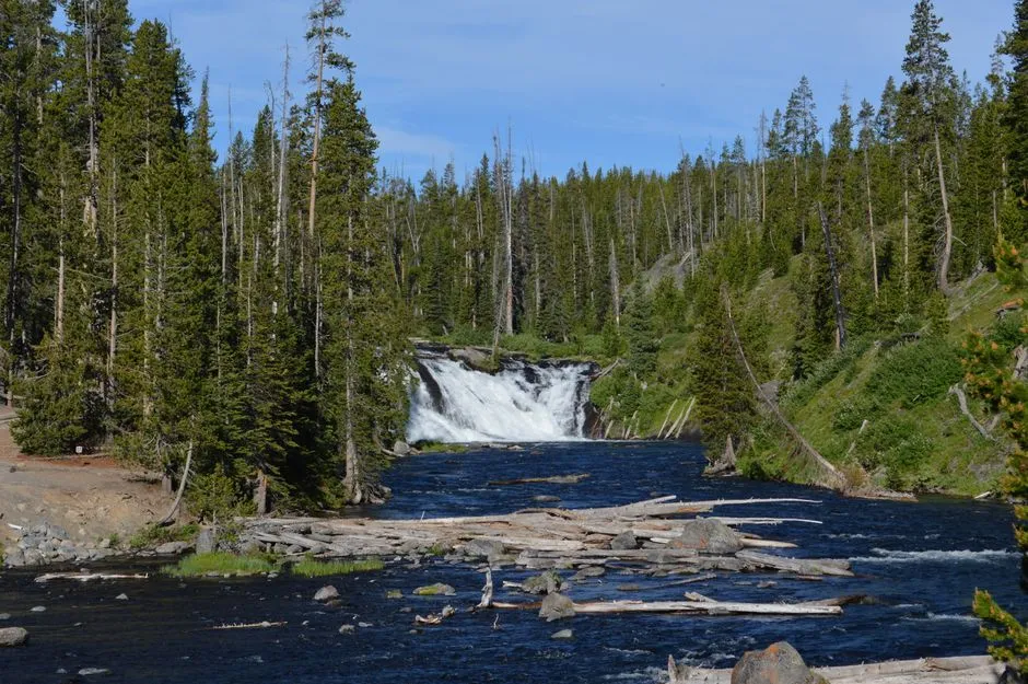 Gibbon Falls and the Roadside Gems (Image Credits: Pexels)