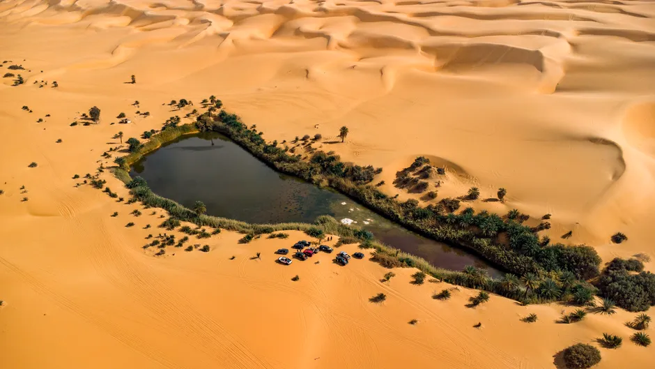 The Experience That Desert Oases Actually Offer (Image Credits: Pexels)