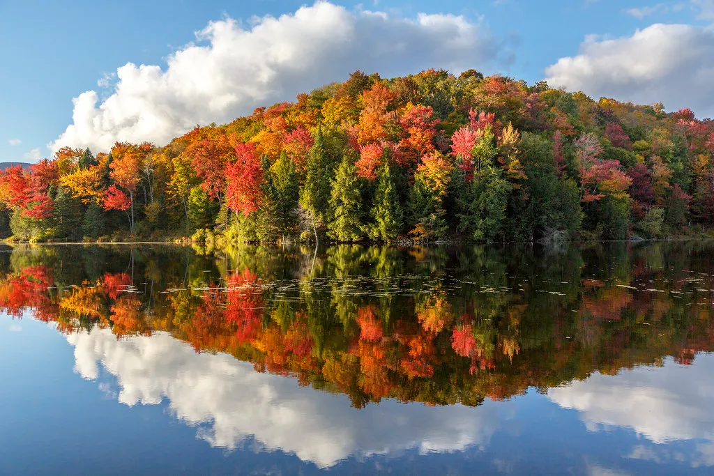 The Economics of Fall Foliage (Richard Ricciardi, Flickr, CC BY 2.0)