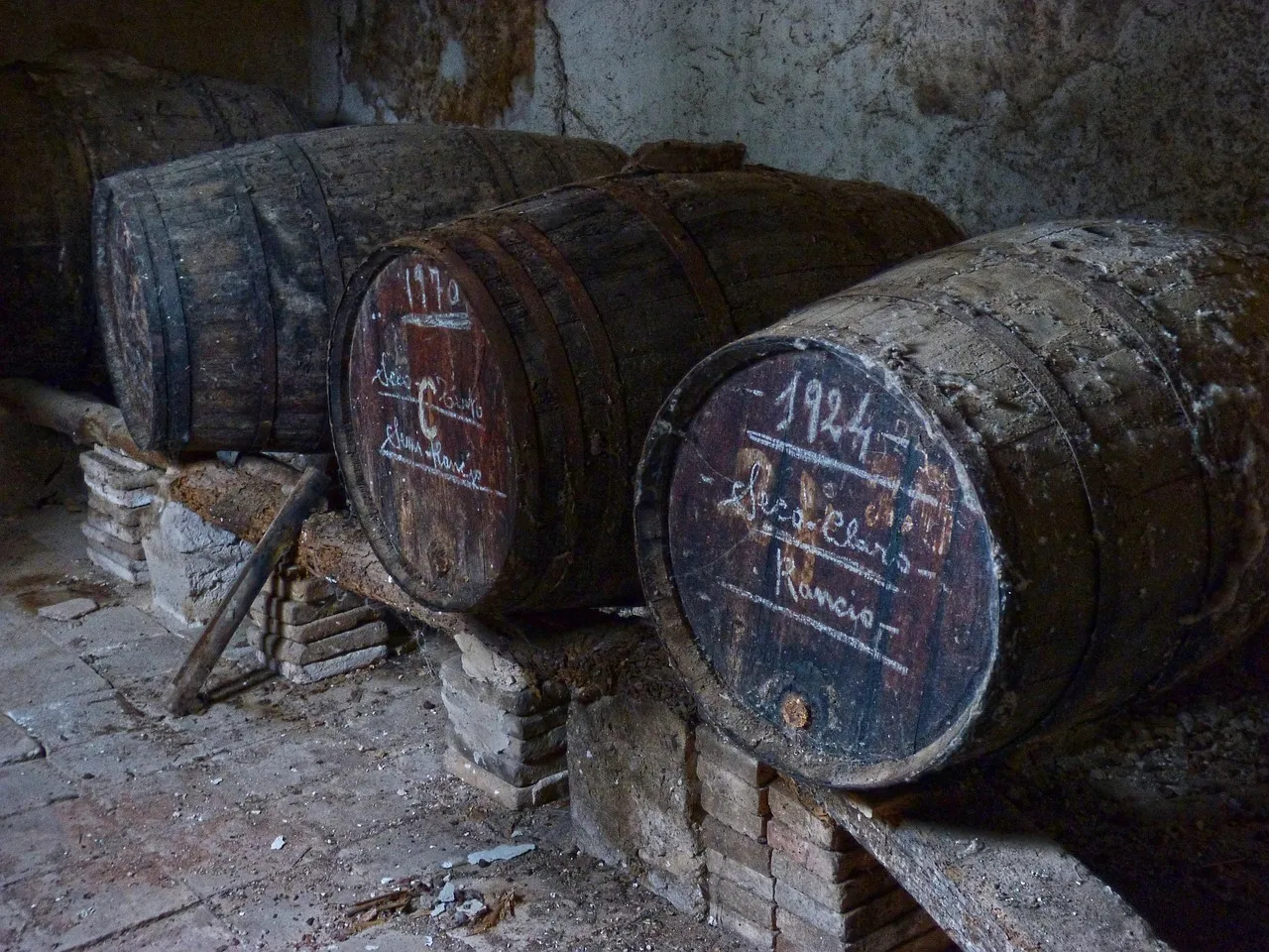 The Pioneering Winemakers Who Sparked a Renaissance (Image Credits: Pixabay)