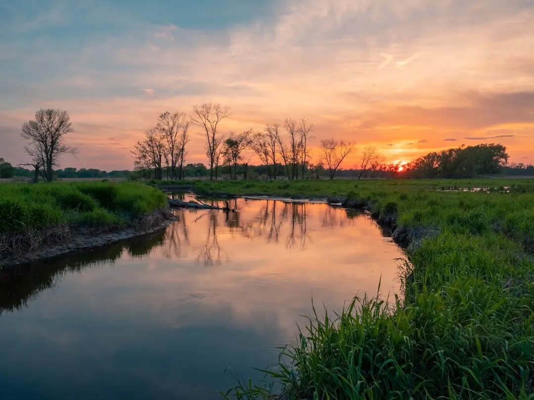 2. Galloping Ghost Arcade - Brookfield, Illinois (Image Credits: Unsplash)