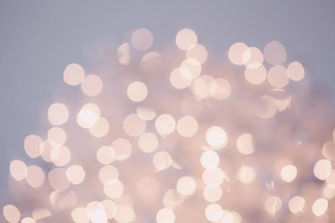 The Garvan Woodland Gardens Winter Light Festival (Image Credits: Unsplash)