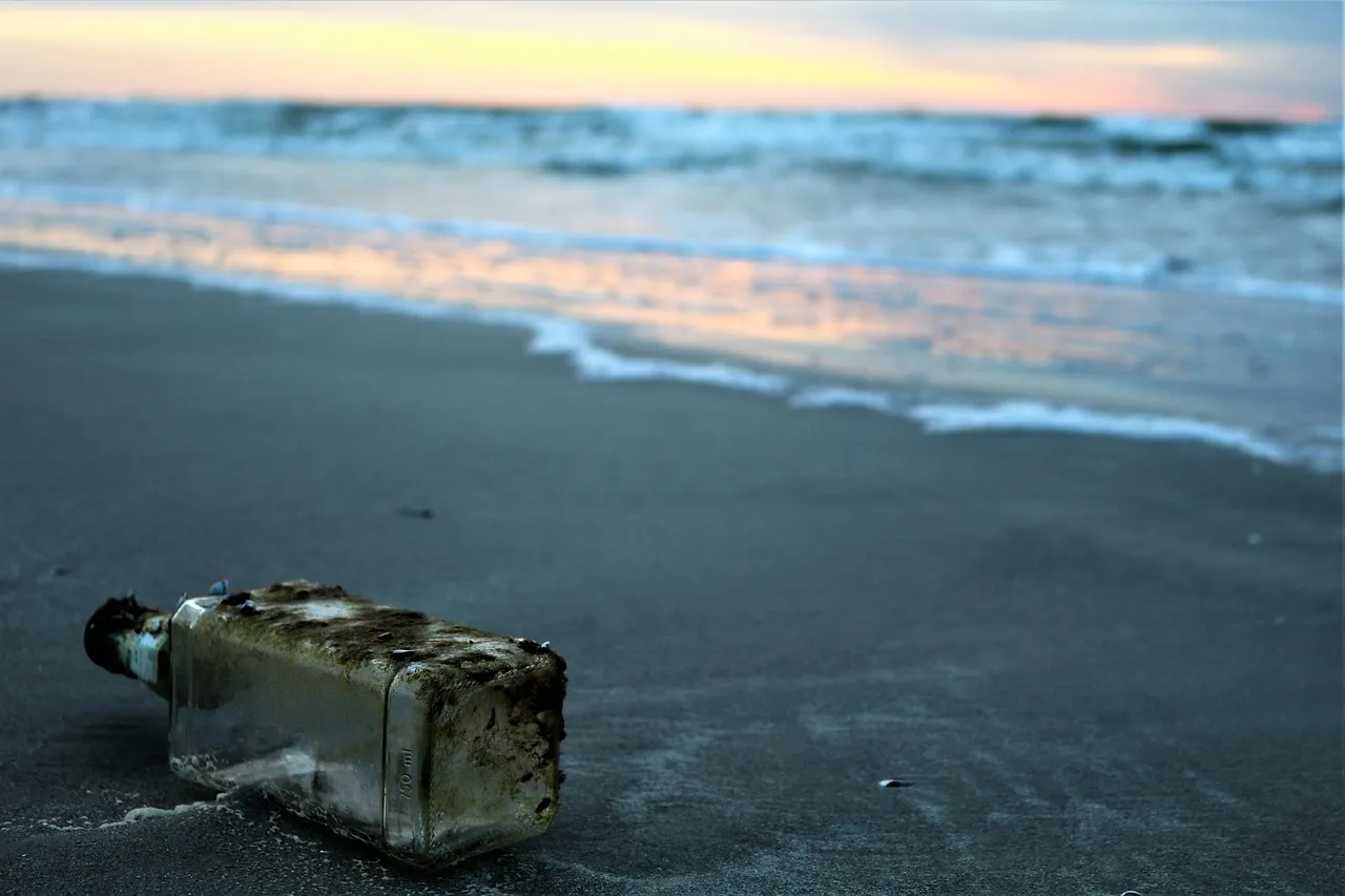 The World's Longest Undeveloped Barrier Island, Right Here (Image Credits: Pixabay)