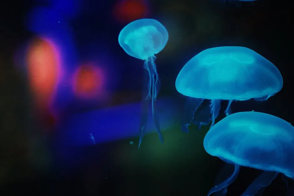 A Natural Phenomenon Worth Protecting (Image Credits: Pexels)