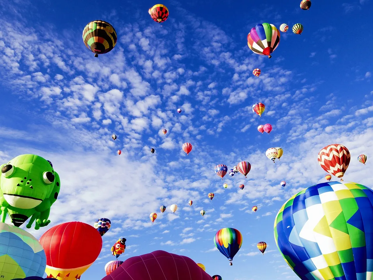 The Economic Impact on Albuquerque and New Mexico (Image Credits: Pixabay)