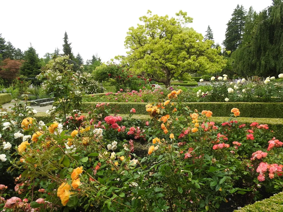 Why Botanical Gardens Matter More Than Ever (Image Credits: Unsplash)