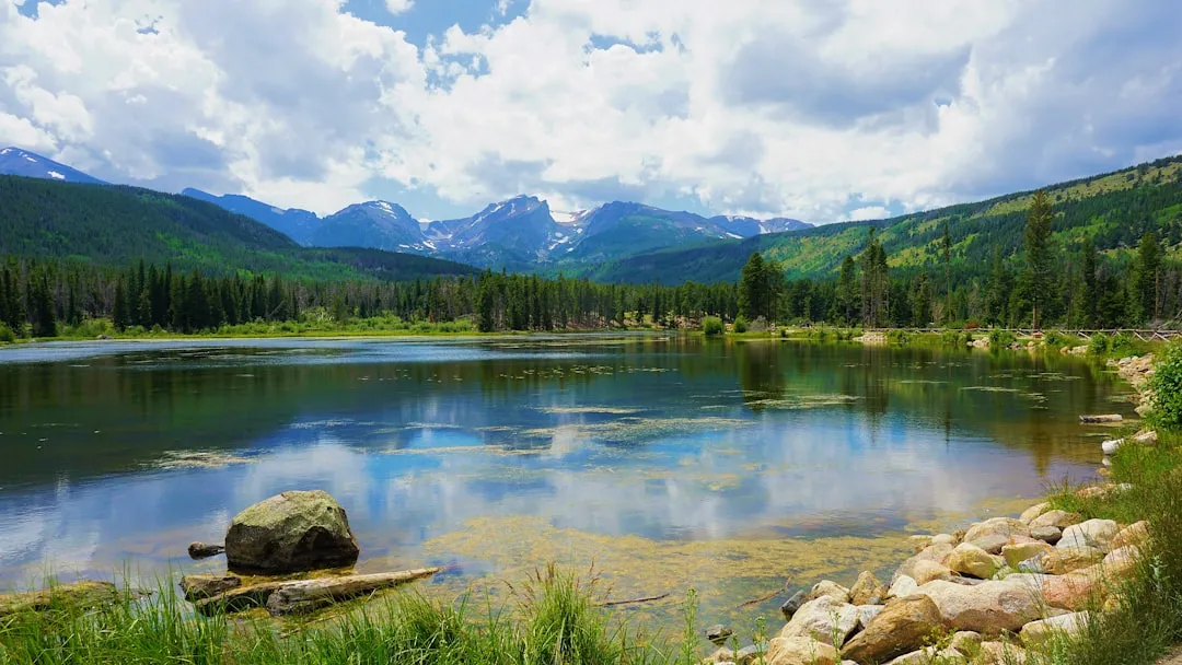 Rocky Mountain: A Case Study in Shuttle Logic (Image Credits: Unsplash)