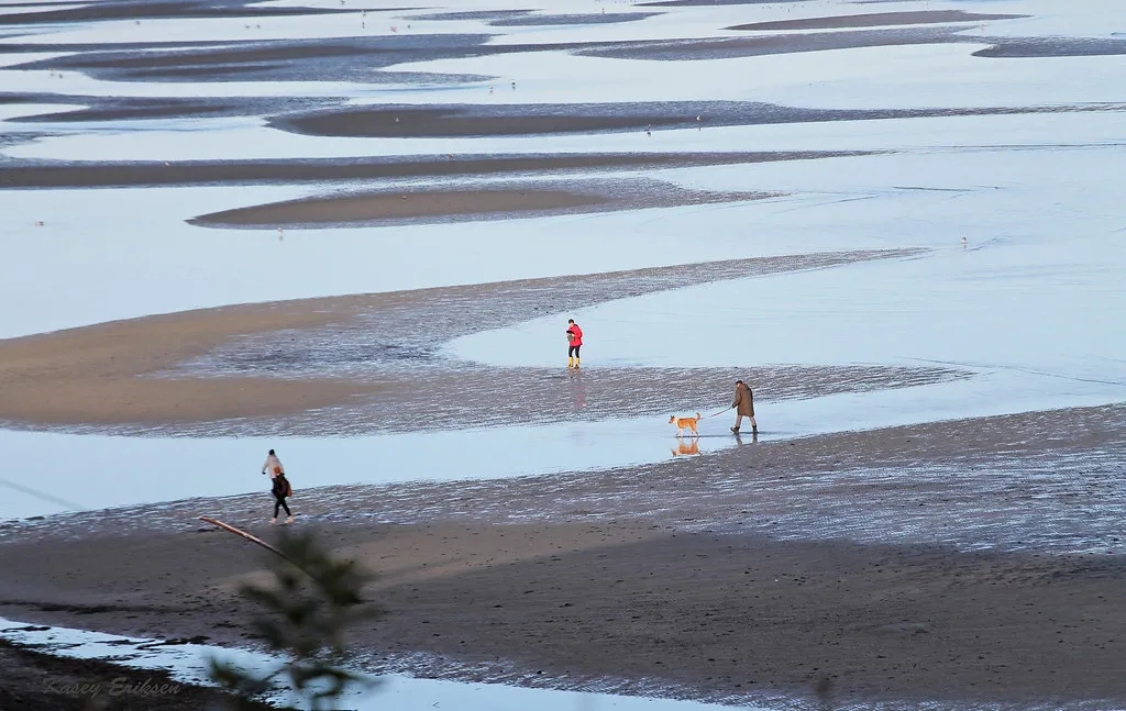Visiting Smart: Tides, Timing, and Tools (KaseyEriksen, Flickr, CC BY-SA 2.0)