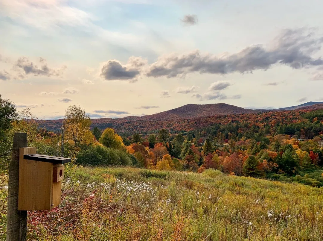 Getting the Most Out of Your Mountain Autumn Escape (Image Credits: Unsplash)