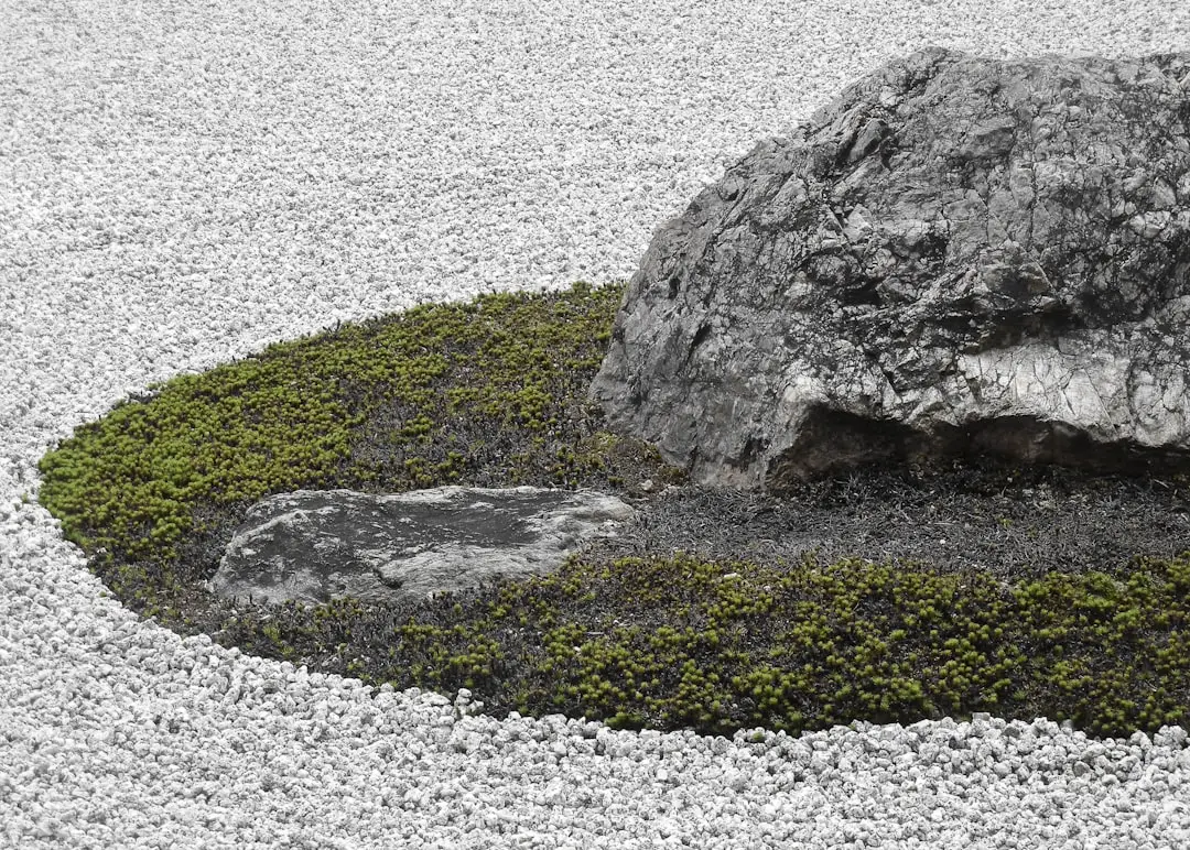 1. Ryoanji Temple Garden: The Rock Garden That Changes Without Moving (Image Credits: Unsplash)