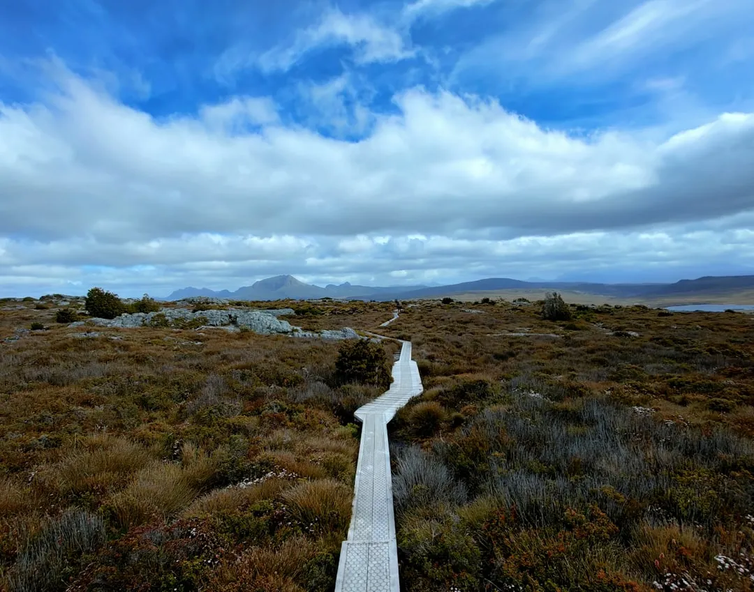 The Overland Track: Walking the Spine of the Island (Image Credits: Unsplash)