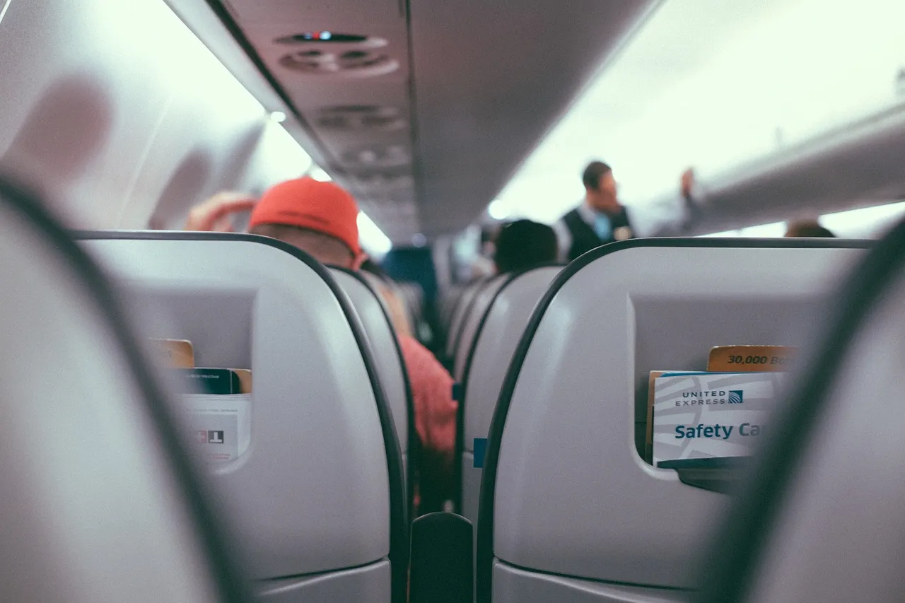 The Role of Airlines and Federal Policy (Image Credits: Pixabay)