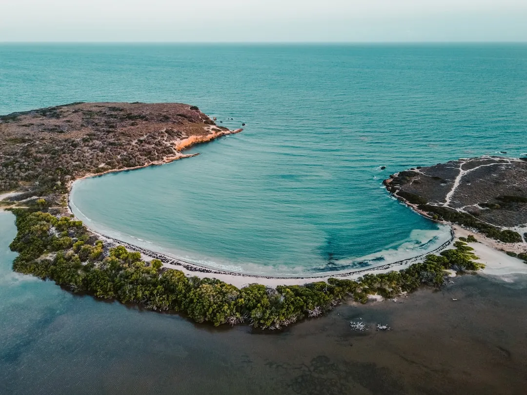 Puerto Rico: The Global Capital of Bioluminescence (Image Credits: Unsplash)