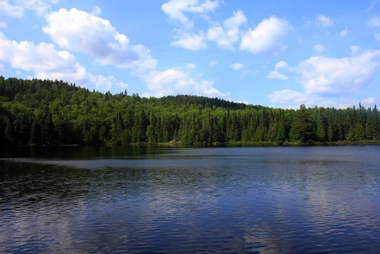 Why Northeast Minnesota's Landscape Matters for Air Quality (Image Credits: Pixabay)