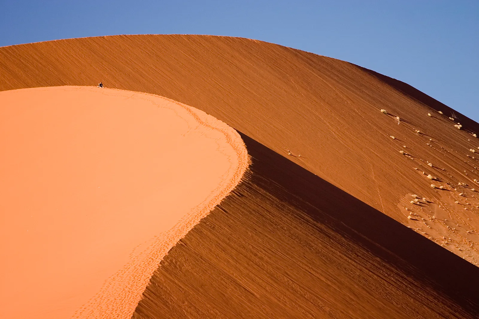 NamibRand Nature Reserve, Namibia (Photo taken by (Luca Galuzzi) * http://www.galuzzi.it, CC BY-SA 2.5)