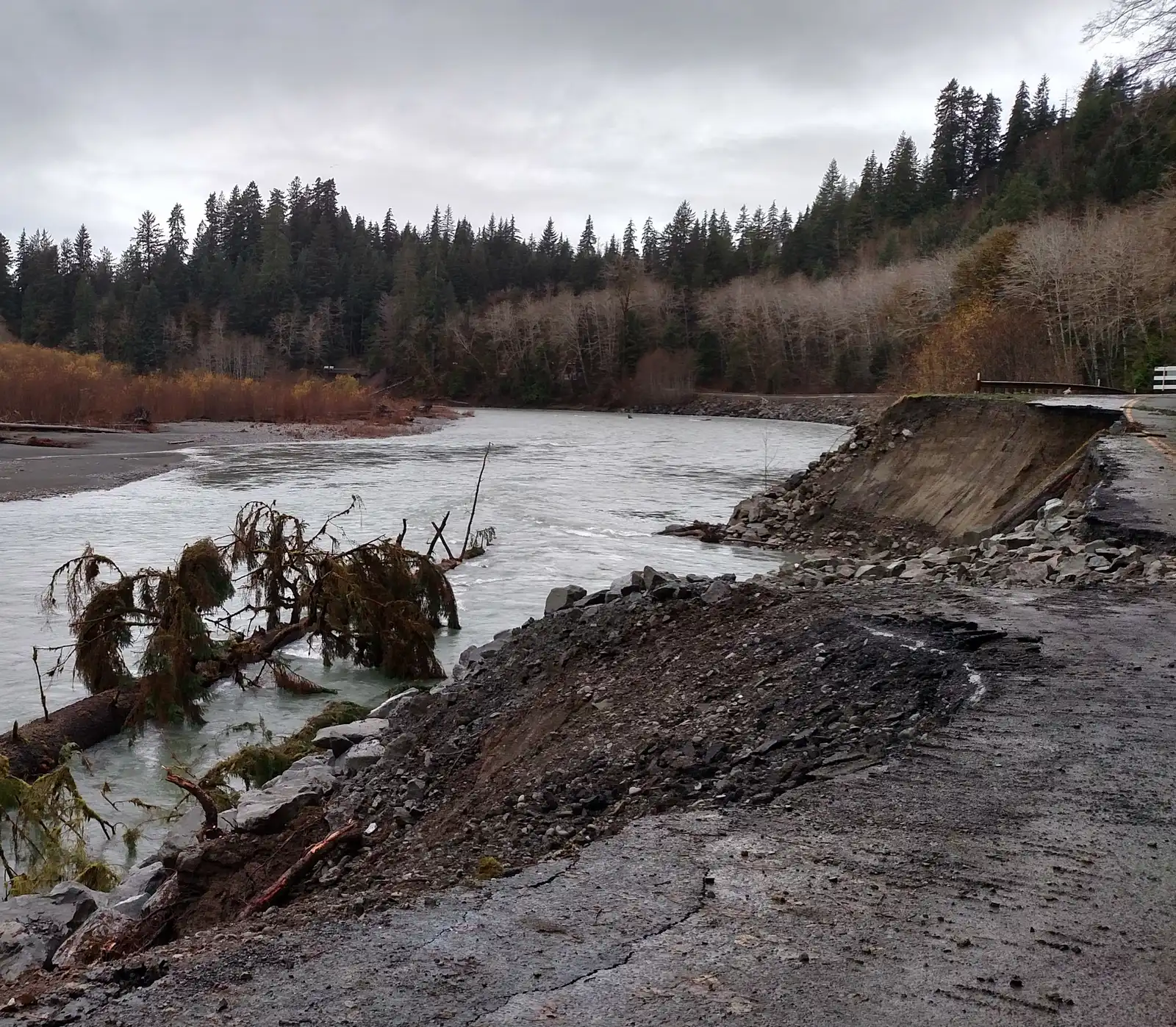 The Hoh Road Saga Reminds Us Why This Place Needs Our Care (NPGallery, Public domain)