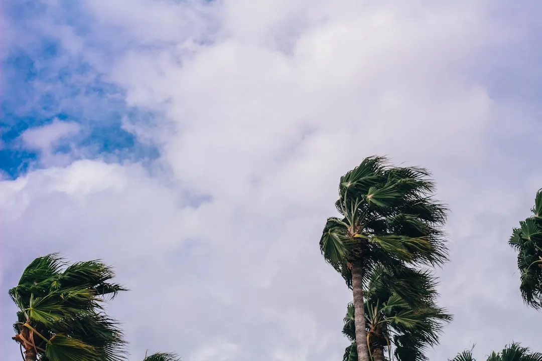 Travel Insurance and Financial Preparedness (Image Credits: Unsplash)