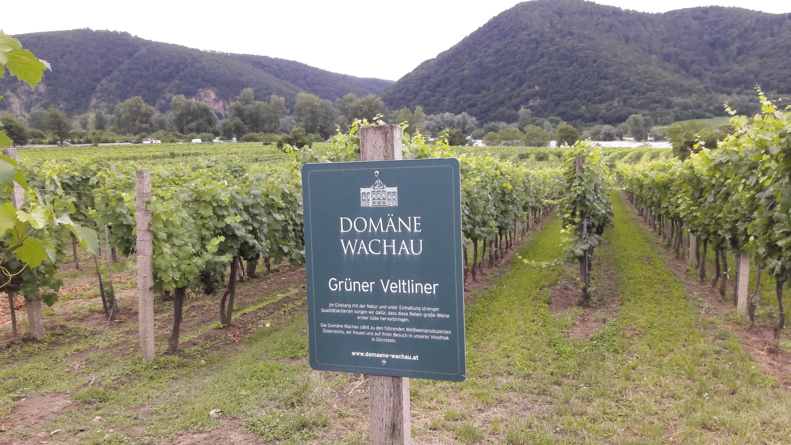 9. Wachau Valley: Where Wine, History, and the Danube Converge (By PMATAS, CC BY-SA 4.0)