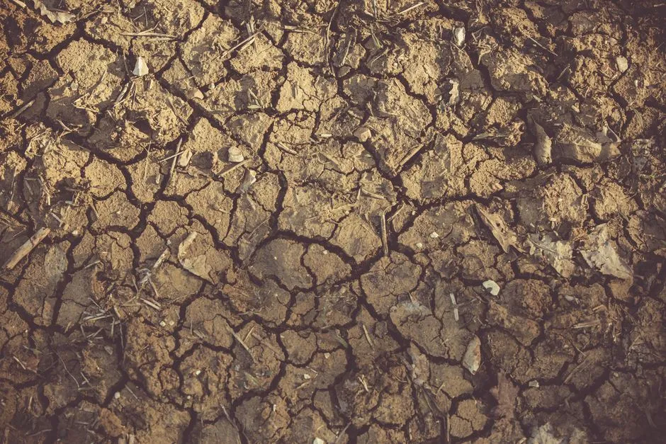 Water Levels, Drought, and Why Conditions Change (Image Credits: Pexels)