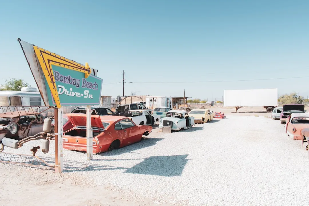 The Bigger Picture: How Many Drive-Ins Are Left? (Image Credits: Unsplash)