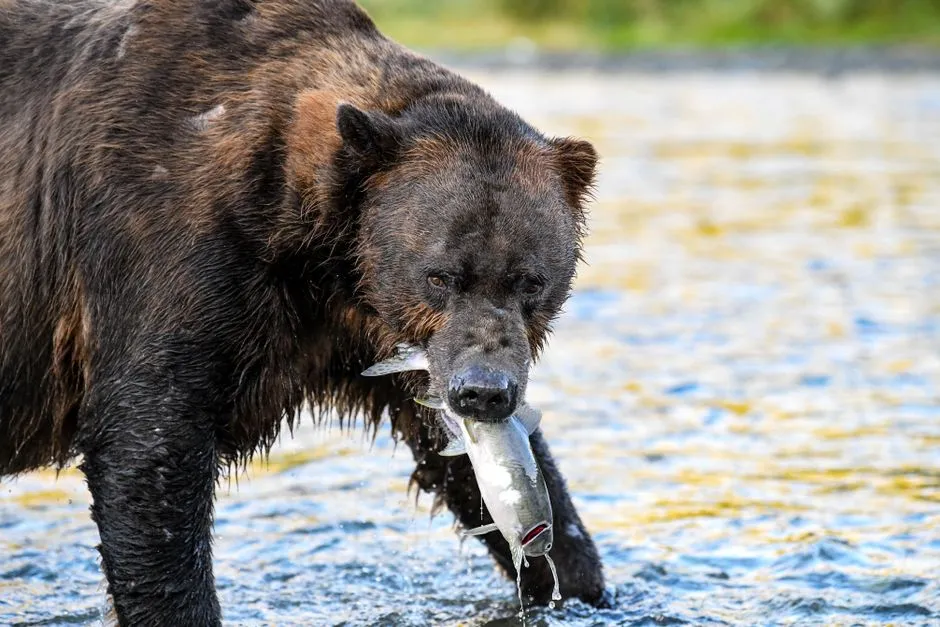 A Final Reflection: Witnessing Something That Cannot Be Staged (Image Credits: Pexels)
