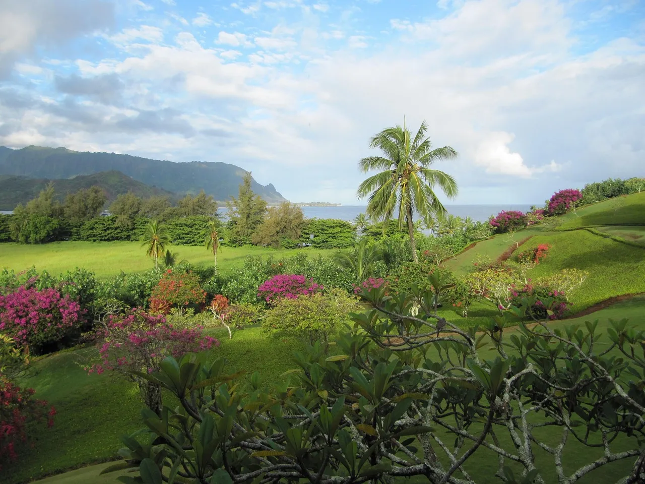 Hanalei Town Itself (Image Credits: Pixabay)