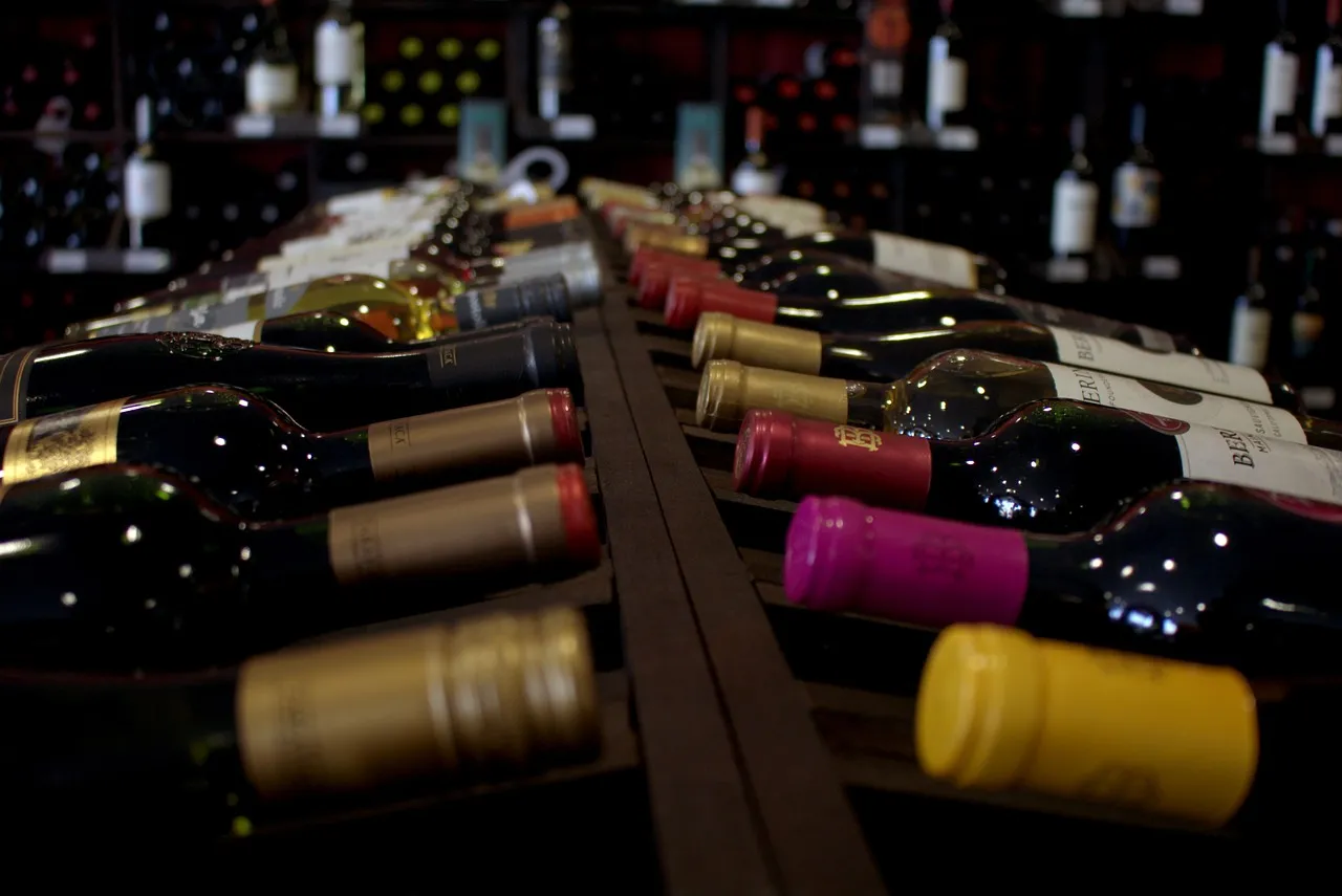 Rioja, Spain: Record Visitors and a Family-Driven Culture (Image Credits: Pixabay)