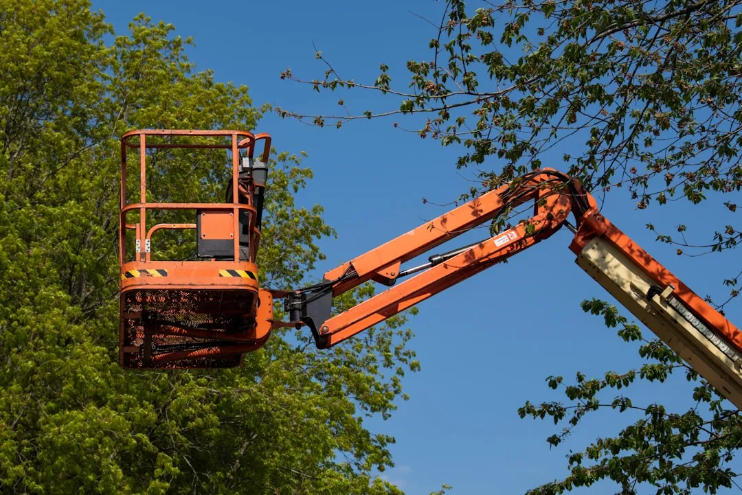 How Courses Are Built Without Harming the Trees (Image Credits: Unsplash)