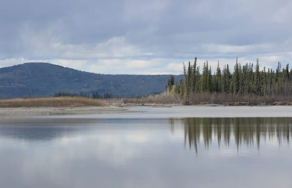7. Soldotna, Alaska - Grassroots Advocacy in the Far North (Image Credits: Pexels)
