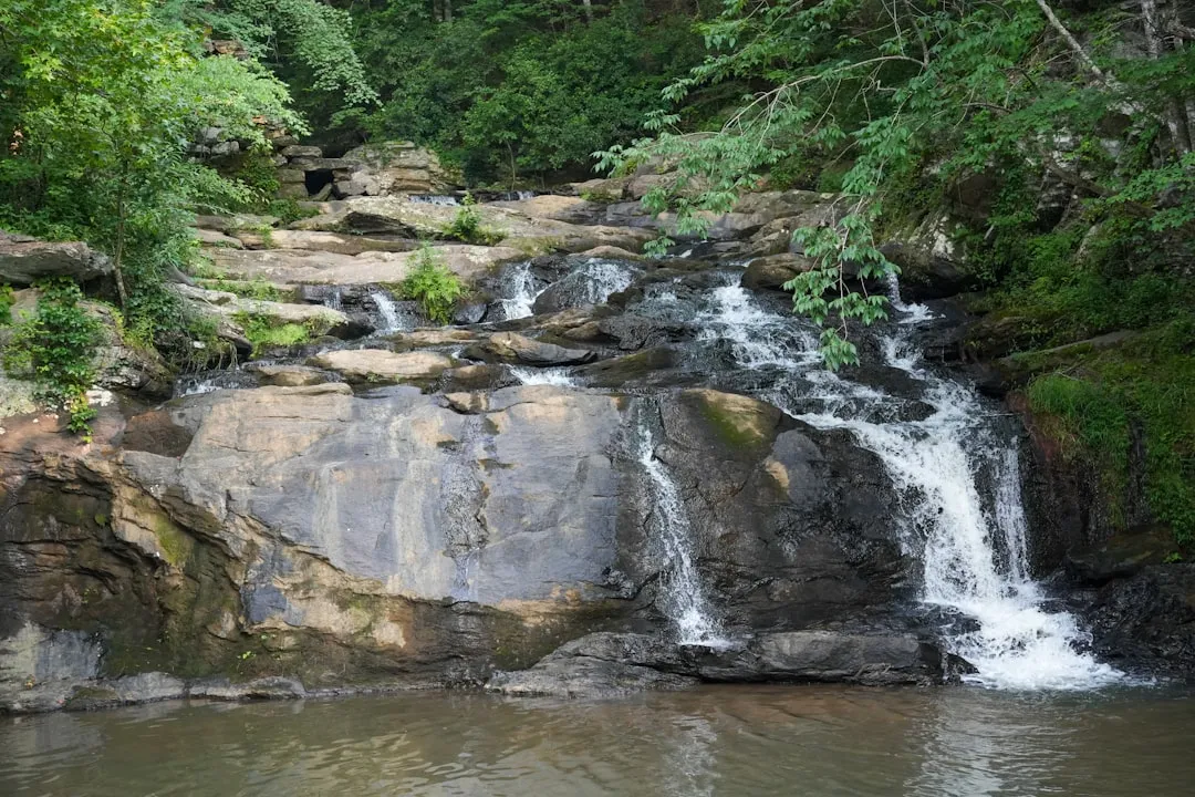 The Heart of It All: Chattahoochee National Forest (Image Credits: Unsplash)