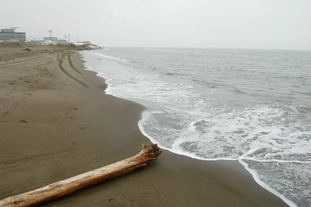 A Coastline of Staggering Ecological Diversity (bdearth, Flickr, CC BY 2.0)