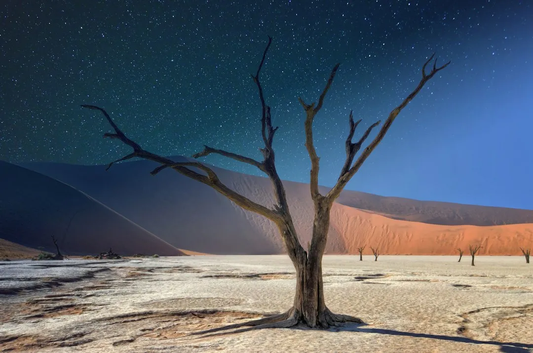 Experience Three: Sleeping Under the World's Darkest Sky (Image Credits: Unsplash)