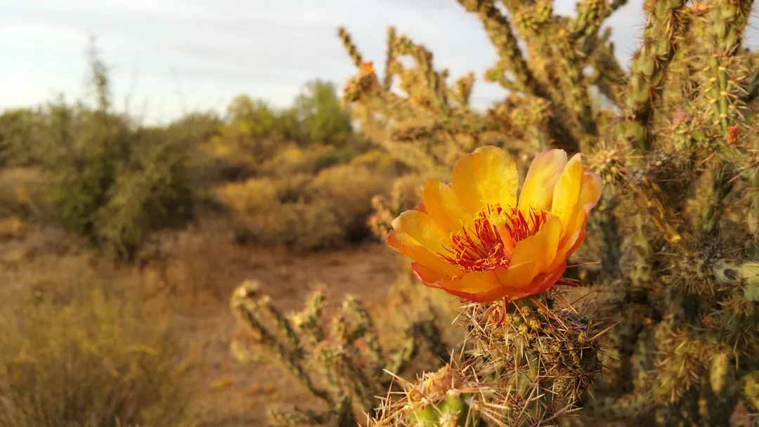 Visiting Responsibly in a Fragile Landscape (Image Credits: Unsplash)