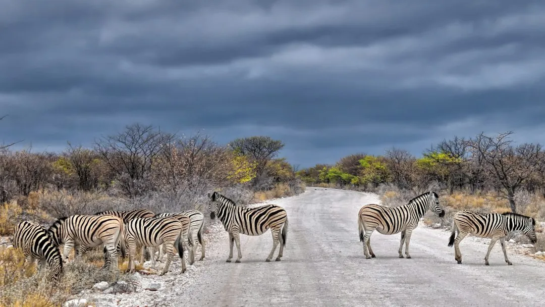 The Practical Case: Why Namibia Rewards the Effort (Image Credits: Unsplash)