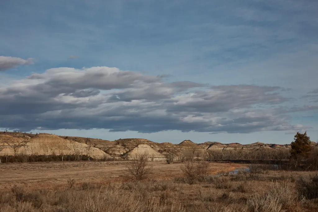 Theodore Roosevelt National Park, North Dakota (Image Credits: Rawpixel)