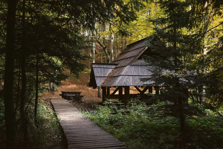 How to Choose the Right Silent Retreat for You (Image Credits: Pexels)