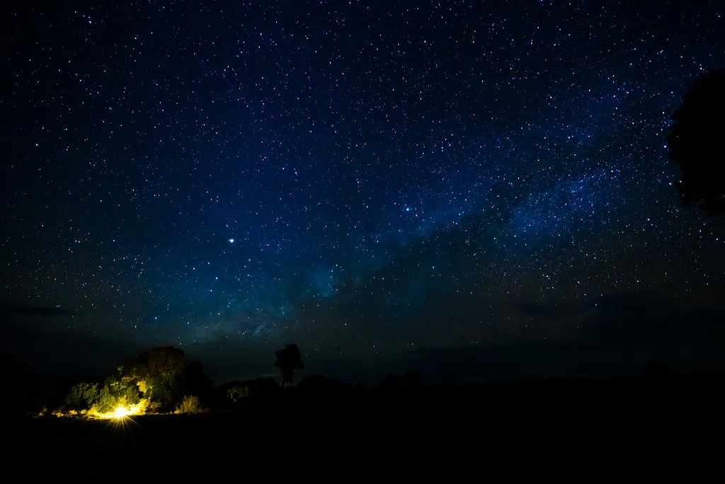Night Safaris: A Different World After Dark (FamilyRalph, Flickr, CC BY 2.0)