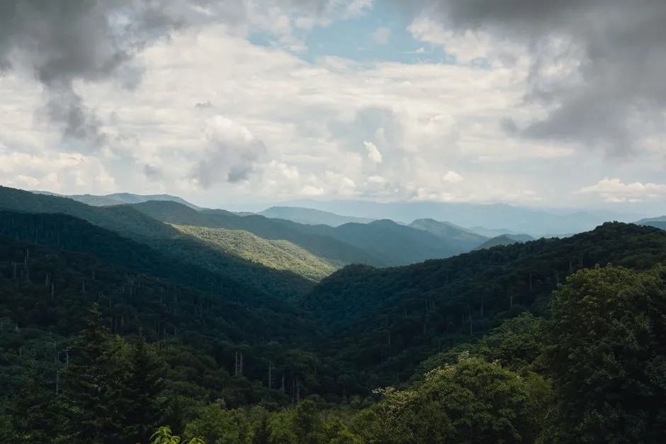 300 Miles of Hiking Trails and the Appalachian Trail at Your Door (Image Credits: Pexels)